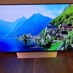 【保証期間内】有機ELテレビ LGブランド　55インチTV