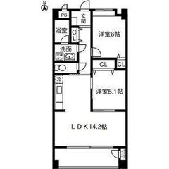 【審査激ゆる】セレスティン