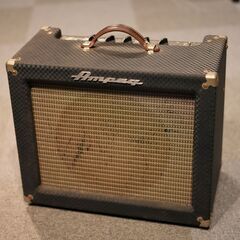 Ampeg MODEL J-12T