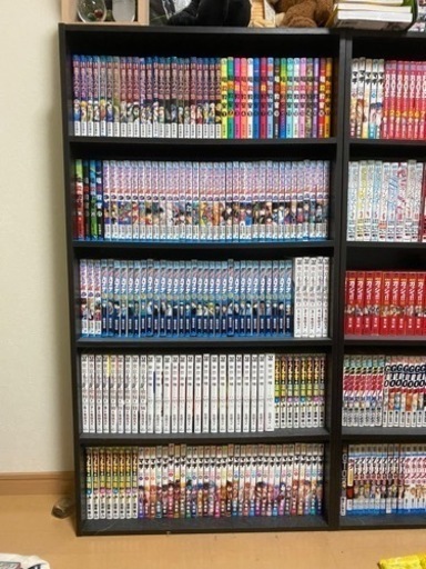 本棚（横60縦110奥行15）×3個