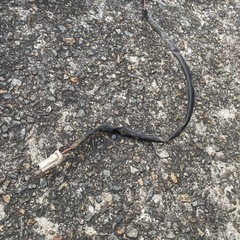 S14 シルビア オプション navan リアウイングの画像