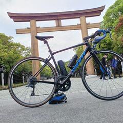 (早い者勝ち)GIANT コンテンド2 2021