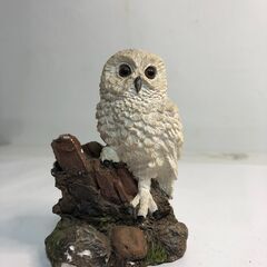 Showpieces展示品（三郷市早稲田）の画像