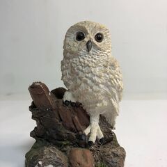 Showpieces展示品（三郷市早稲田）