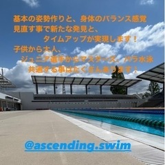 パーソナルスイミングレッスン　関西圏OKの画像
