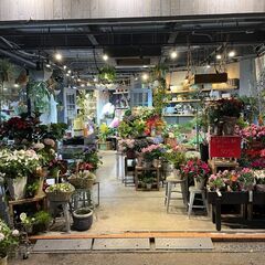 【８月OPEN！お花の業務を行う就労継続支援B型事業所のオープニ...