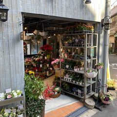 【8月1日OPEN！お洒落なお花屋さんの業務を行う就労継続支援B型事業所～オープニングスタッフ（常勤職員）の募集！】の画像