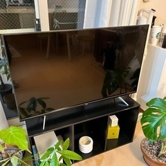 TCL 4K対応 液晶テレビ