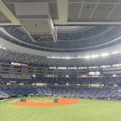 プロ野球観戦友達募集⚾️