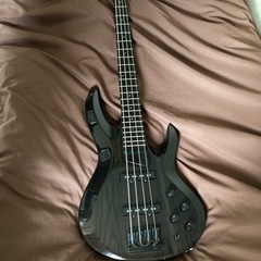 ESP ボトムライン初期型