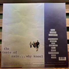 【レコード】deep puddle dynamics " the taste of rai...why kneel " 【2LP】の画像