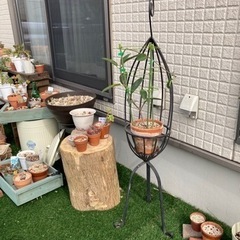 アンティーク　アイアンフラワースタンドの画像