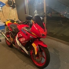 最終値下げ！Kawasaki Ninja250R エヴァンゲリオン2号機仕様の画像