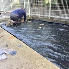 呉市の皆様『草刈り・剪定』などの庭仕事はお任せ下さい! - 便利屋