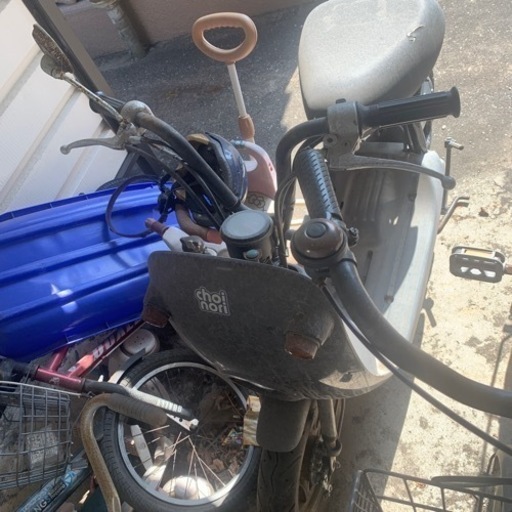 スズキ　ちょいノリ