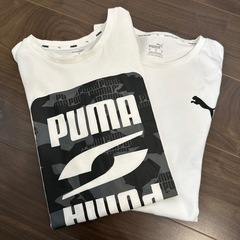 プーマTシャツの画像