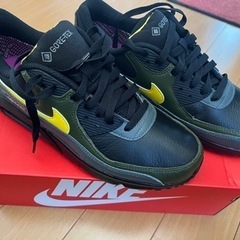 NIKE AIR MAX 90 GTX