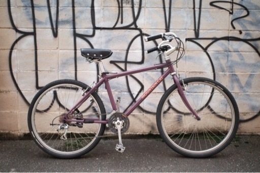 パナソニック　マウンテンキャット