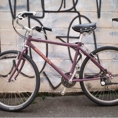 パナソニック マウンテンキャット