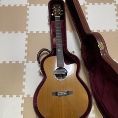 Morris S-102Ⅱ アコースティックギター 