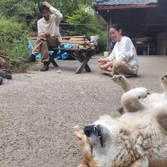 俳句サークル