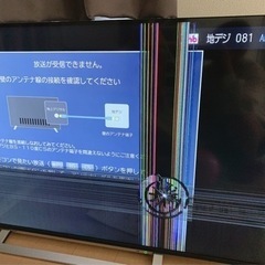液晶テレビ　55型　液晶割れ　REGZA TOSHIBAの画像