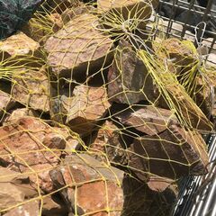 クラッシュロック　ブラウン 再入荷しました！！！の画像