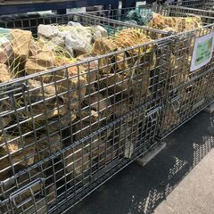 クラッシュロック　ブラウン 再入荷しました！！！の画像