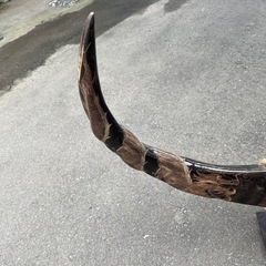 取引決まりました龍の木彫りのツノの画像