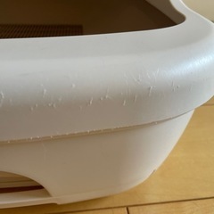 猫トイレの画像