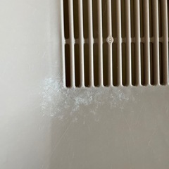 猫トイレの画像