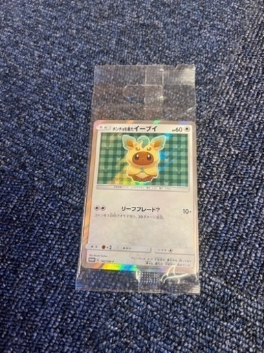 ポンチョを着たイーブイ　リーフィア