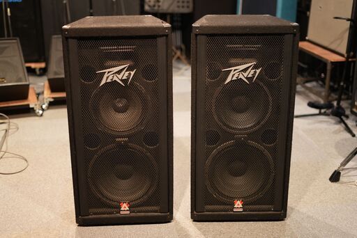 PEAVEY スピーカーペア　1210TLS 少し難あり