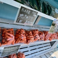 きゅうり、にんじん規格外
