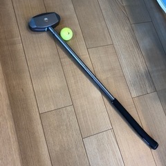 グランドゴルフパター&ボール☆決まってしまいました☆