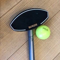 グランドゴルフパター&ボール☆決まってしまいました☆の画像