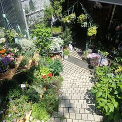 お花の業務を行う就労継続支援B型事業所のスタッフを募集しています！の画像