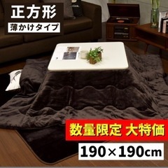 正方形　こたつ布団　190✖️190cm リバーシブル