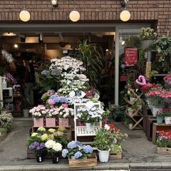 お花の業務を行う就労継続支援B型事業所で、スタッフを募集しています！の画像