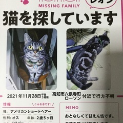迷子猫のチラシを貼って頂きたいです。