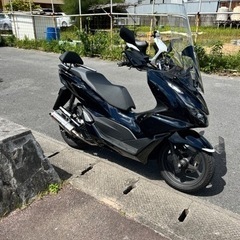 PCX JK05 ヨシムラの画像