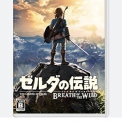 ニンテンドースイッチ　ライトの画像