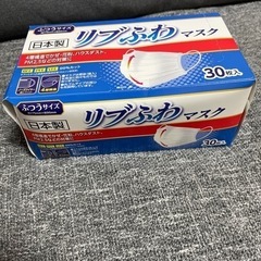 マスク 普通サイズ 30枚入ⅹ35箱の画像