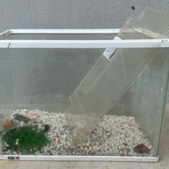 【無料・直接取引】水槽