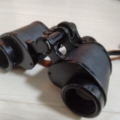 NIKON 双眼鏡 8×30