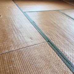 畳、30枚以上あります(お届けも可