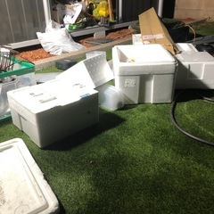 発砲箱　発砲スチロール　箱　メダカ