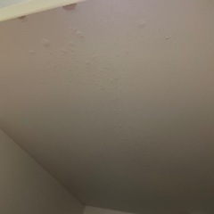 (5月末まで)食器棚の画像