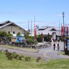 【メダカ販売のお知らせ】の画像
