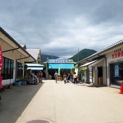 【メダカ販売のお知らせ】の画像